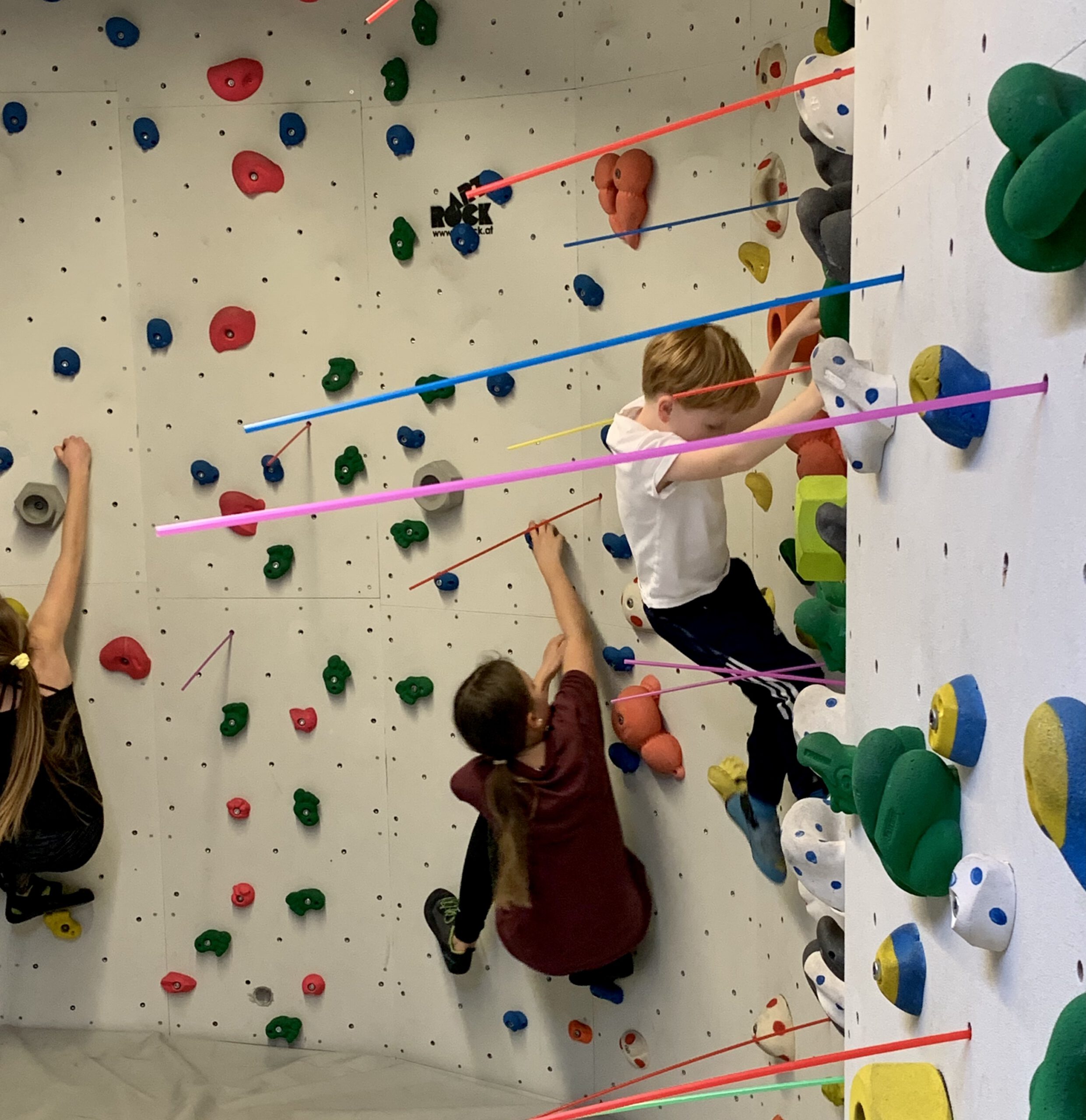 Mehr über den Artikel erfahren Erste Training-Session im Kletterbande e.V.